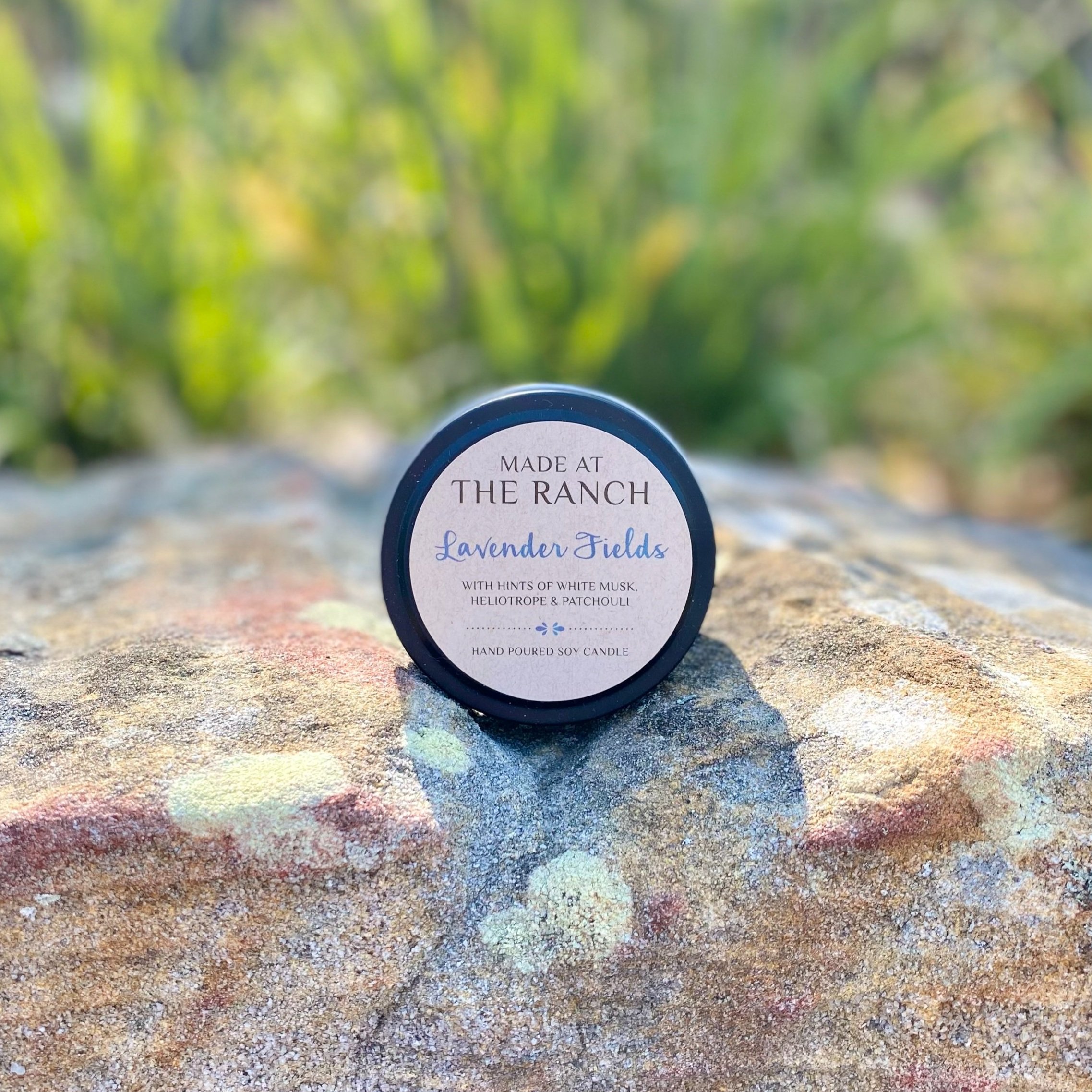 LavenderFields-ScentSampler.jpg