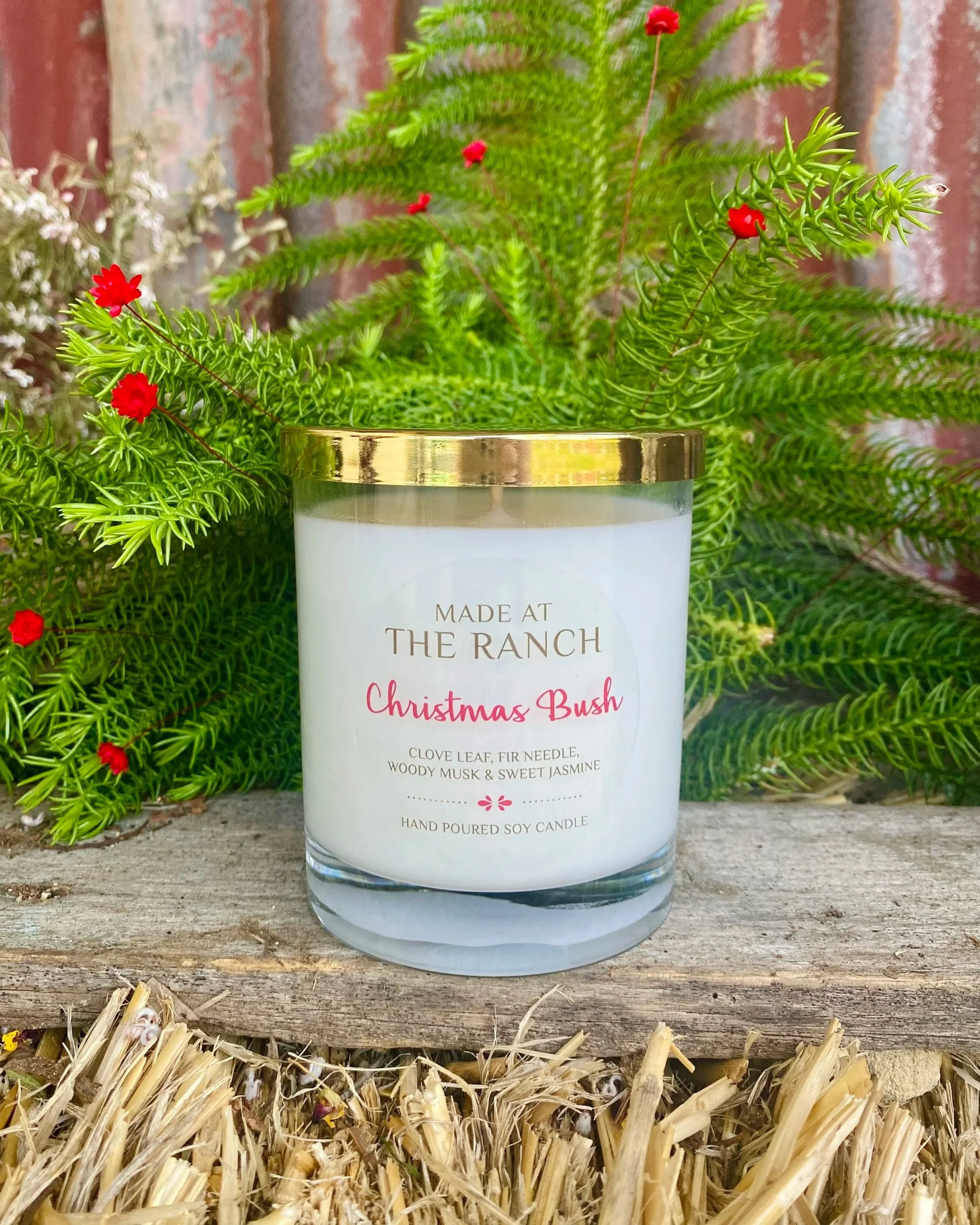 Christmas-Bush-Large-Candle.jpg