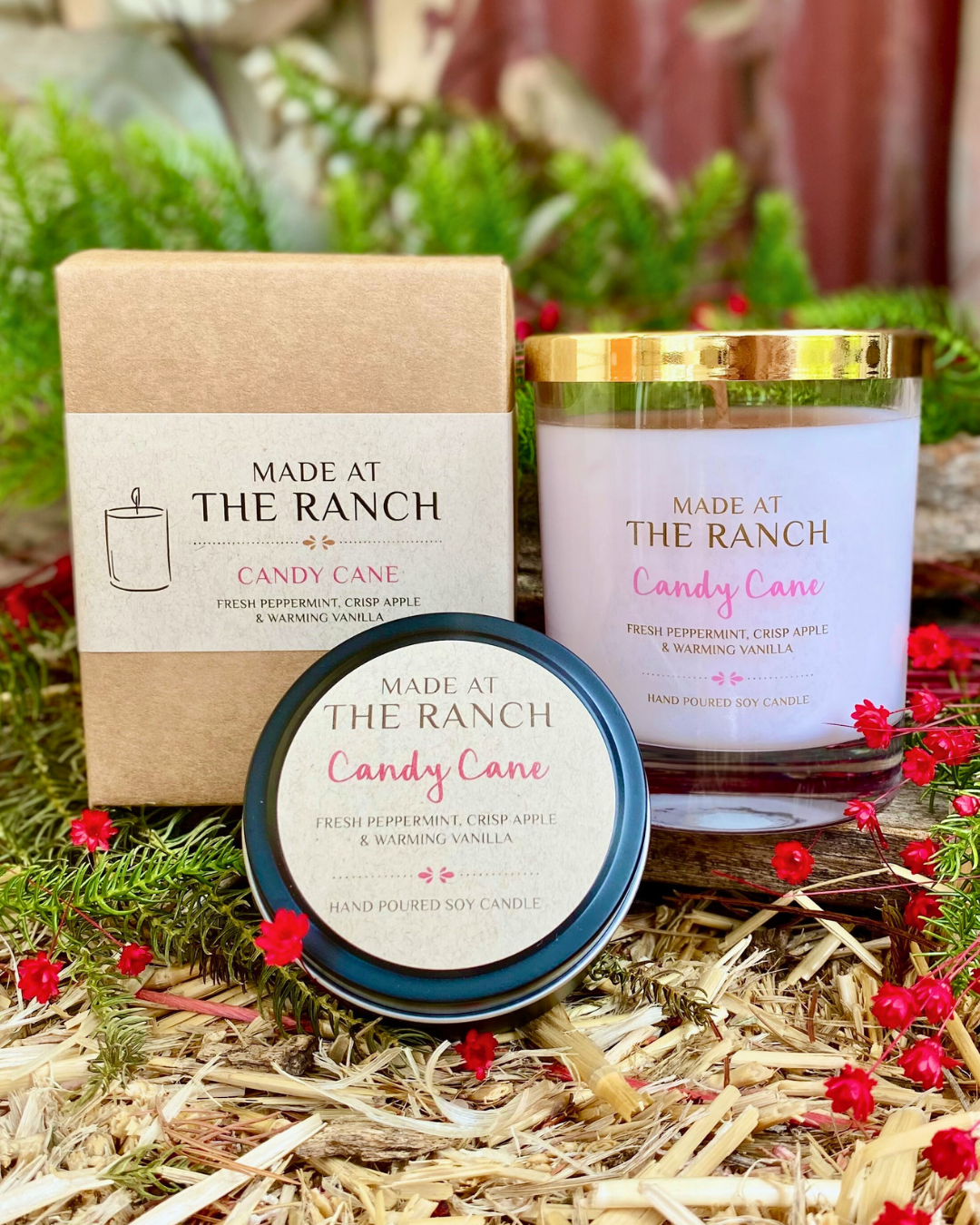 Candy-Cane-Candles.png
