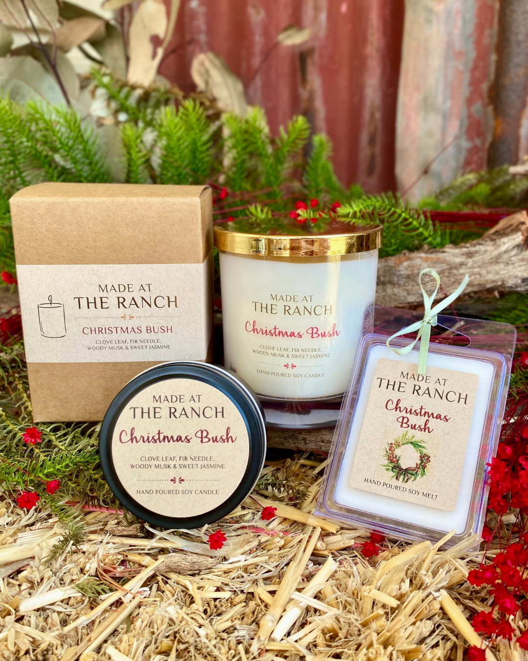 Christmas-Bush-Candles-Melts.png