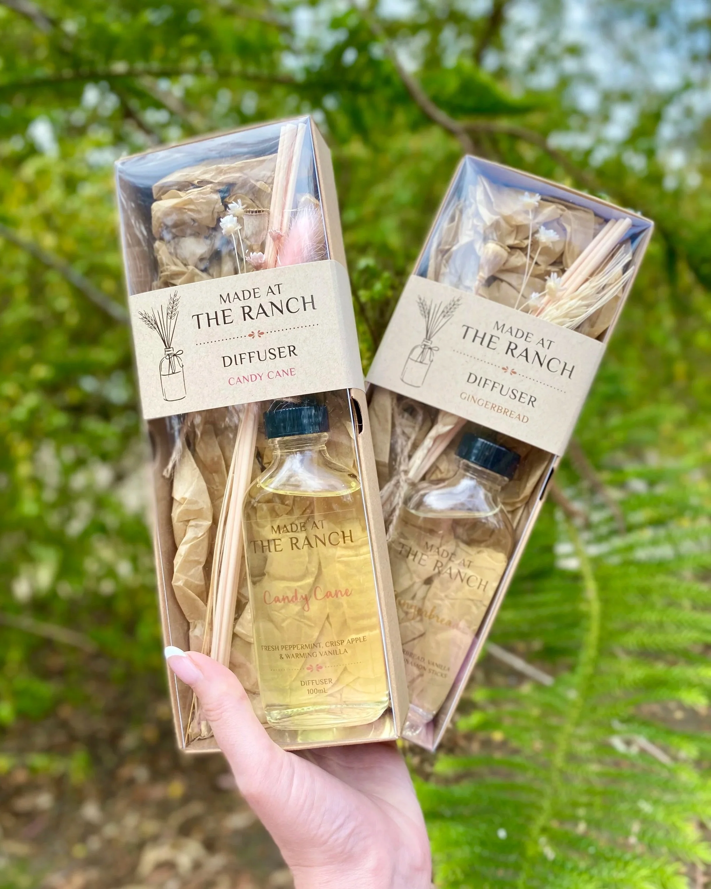 CandyCane-Gingerbread-Diffusers.jpg (Copy)