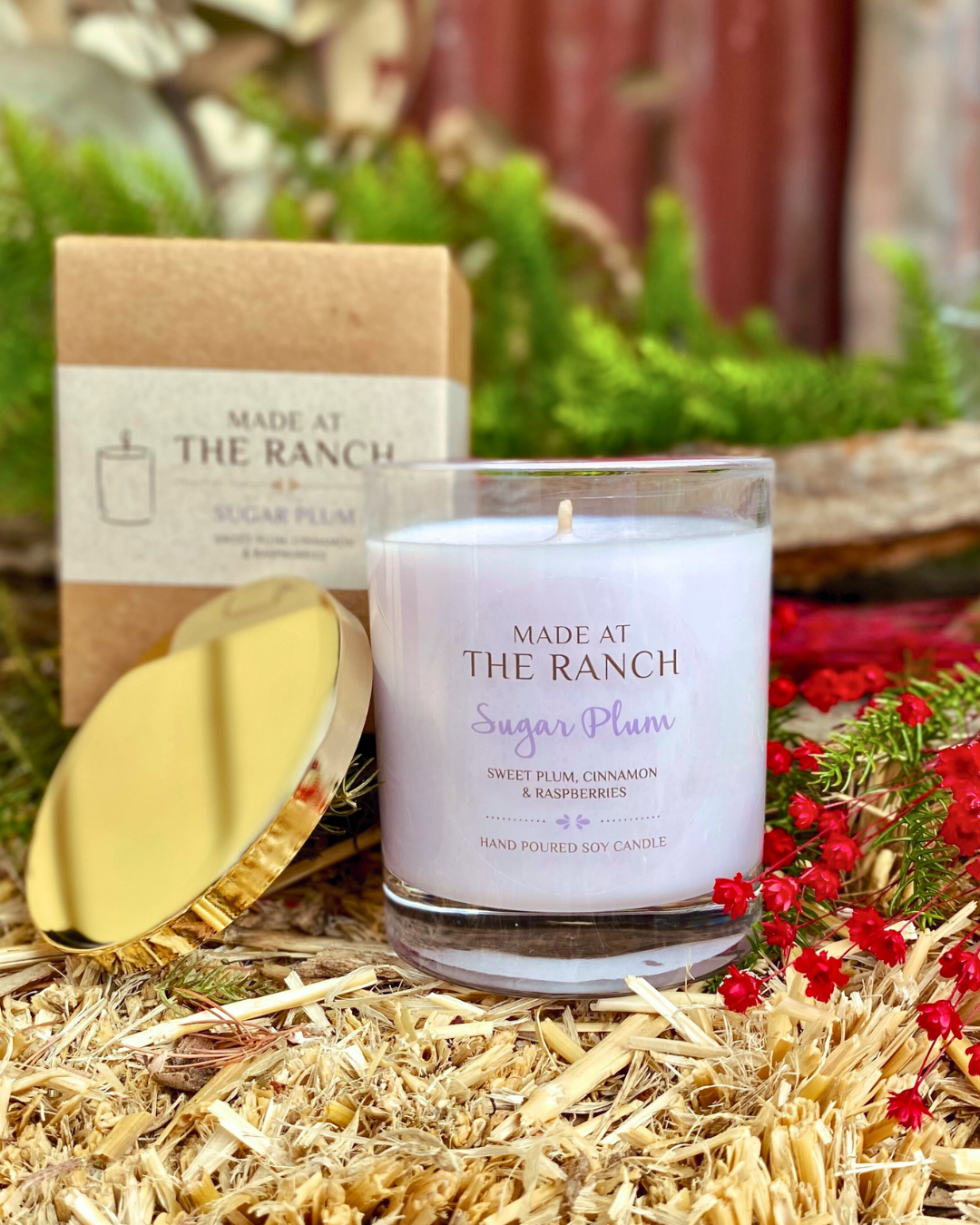 Sugar Plum - Christmas Limited Edition