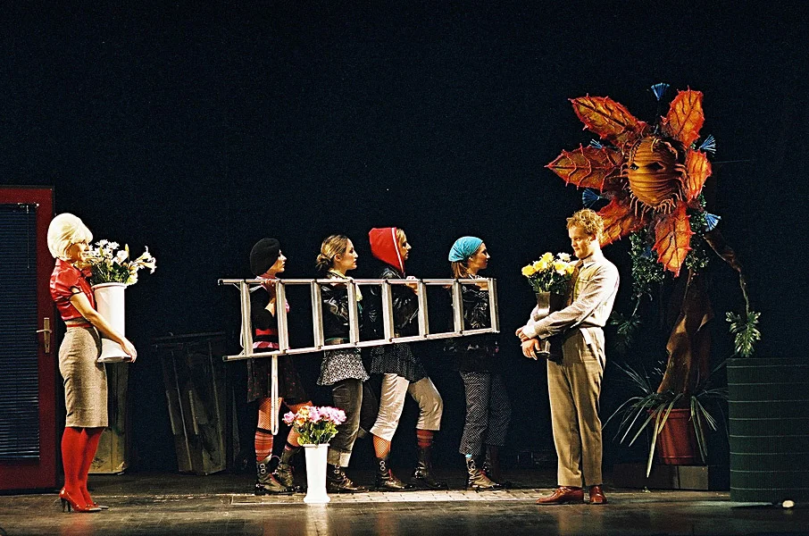2004_mala_prodajalna_groze_08.jpg