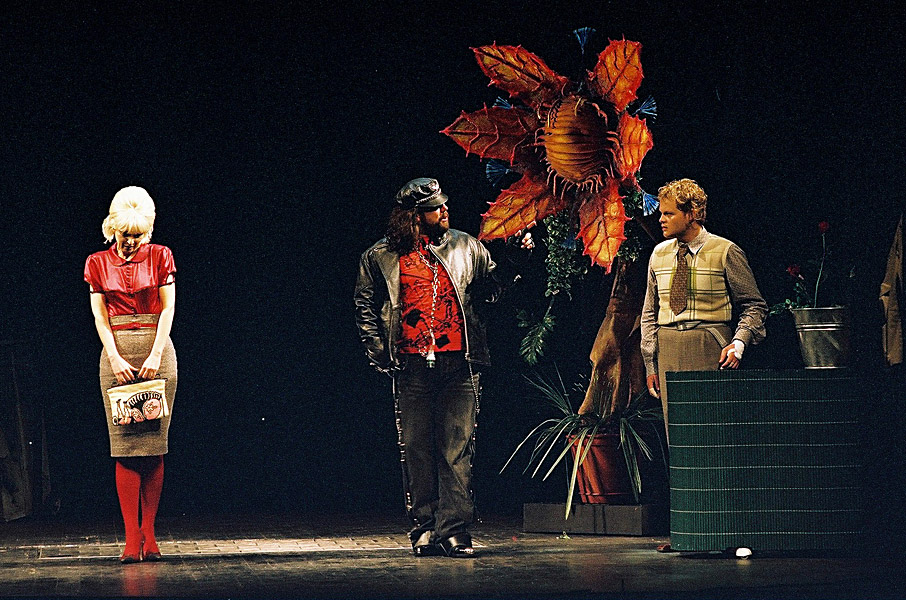 2004_mala_prodajalna_groze_09.jpg