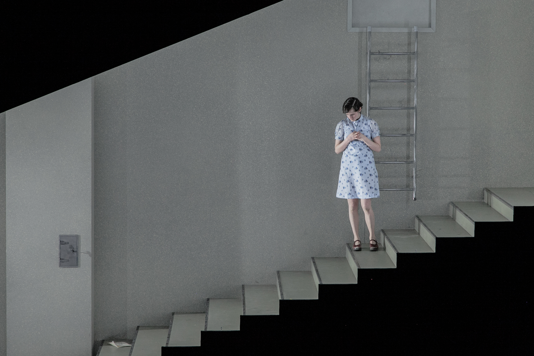 Die_Wildente_c__Raimund_Orfeo_Voigt__2_.jpg