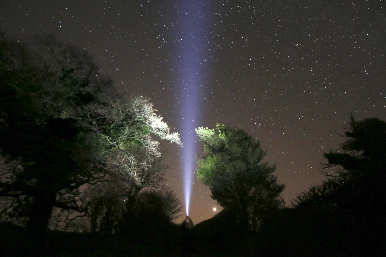 Dartmoor Nights