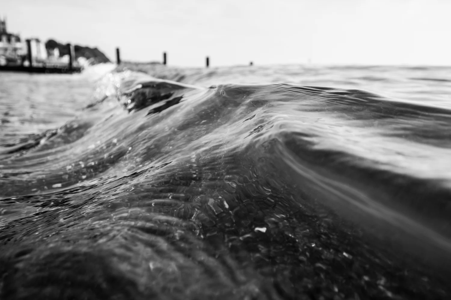 B&W Wave LR.jpg