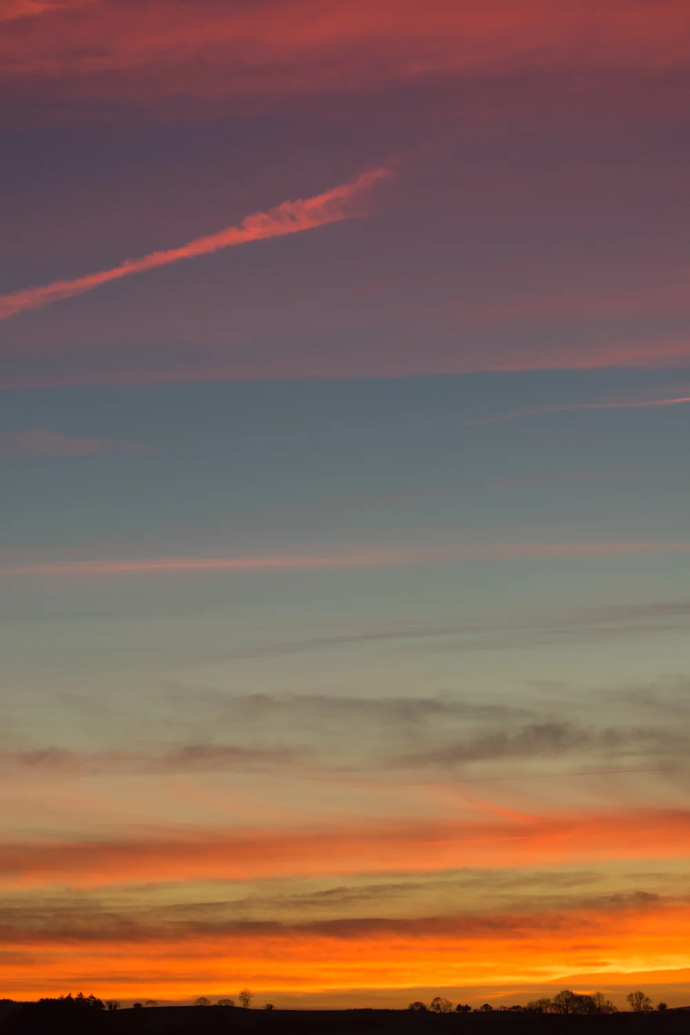 Sunrise Portrait LR.jpg