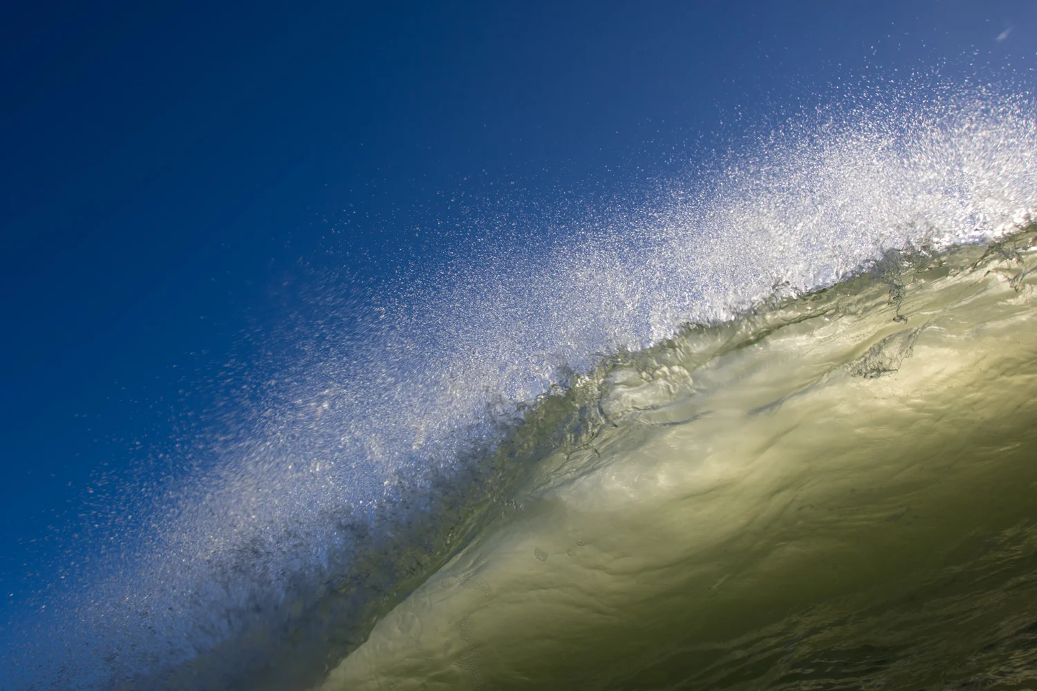 Whitsand LR (3 of 11).jpg