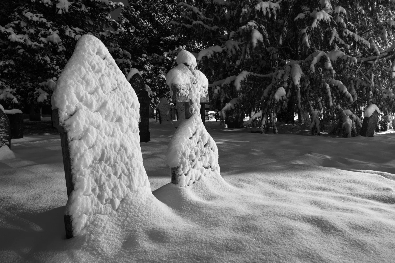 Snow day evening LR (6 of 6).jpg