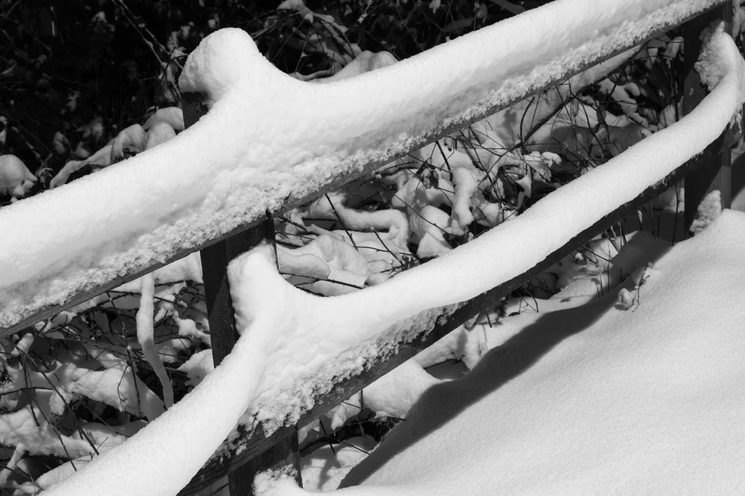 Snow day evening LR (1 of 6).jpg