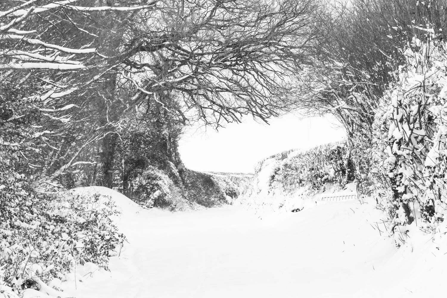 Snow day Monday LR (2 of 13).jpg