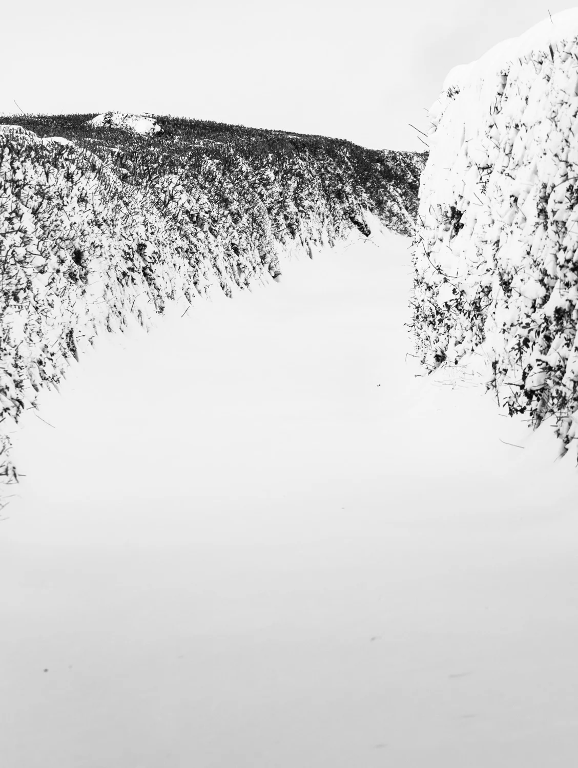 Snow day Monday LR (5 of 13).jpg
