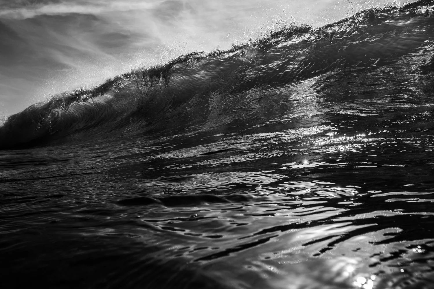 Duckpool LR (3 of 9).jpg