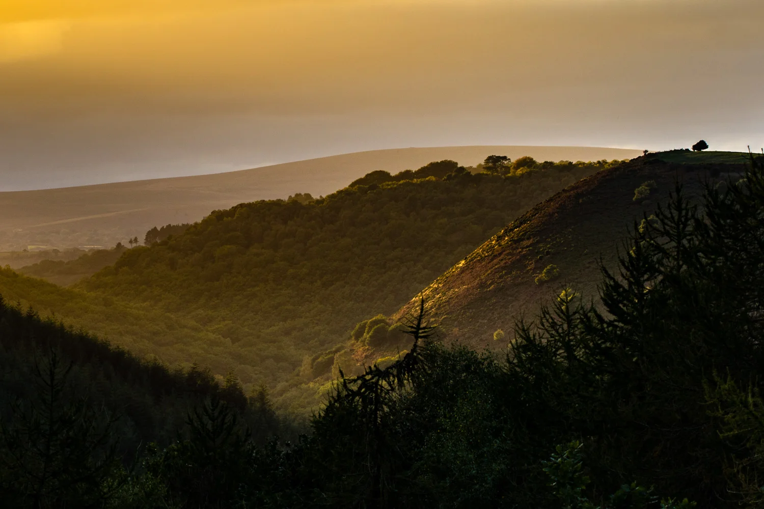 Teign Valley LR.jpg