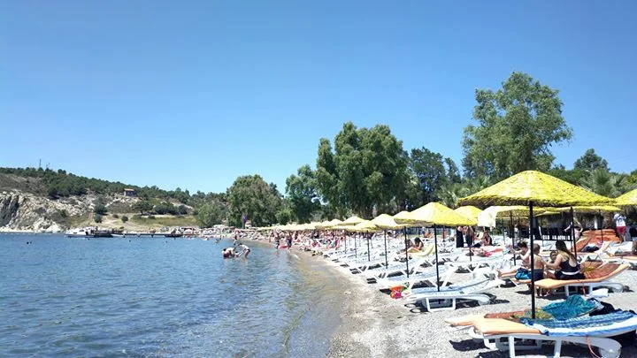 Plajlar