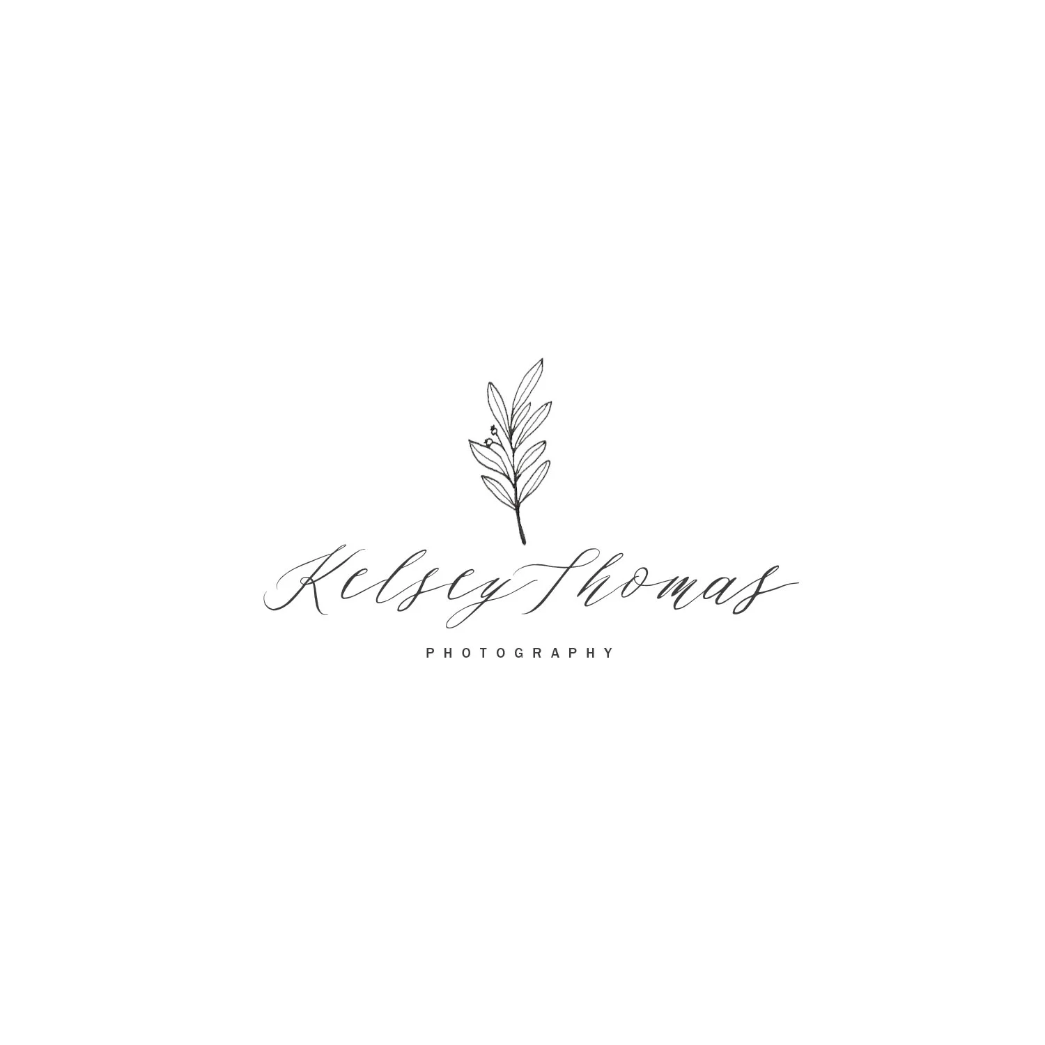 logoweb.jpg