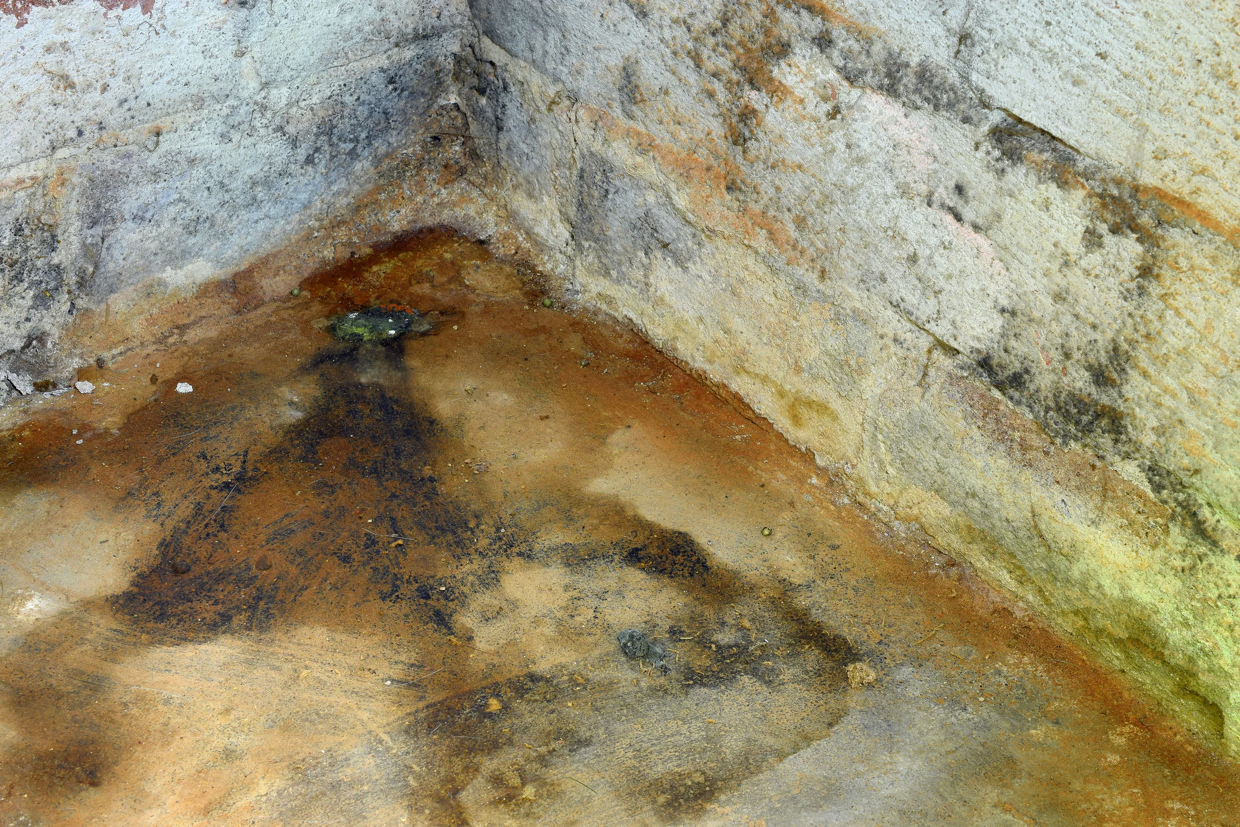  Prevent Mold and Water Damage with the Help of a Stormwater Management Company in Tarrytown, NY