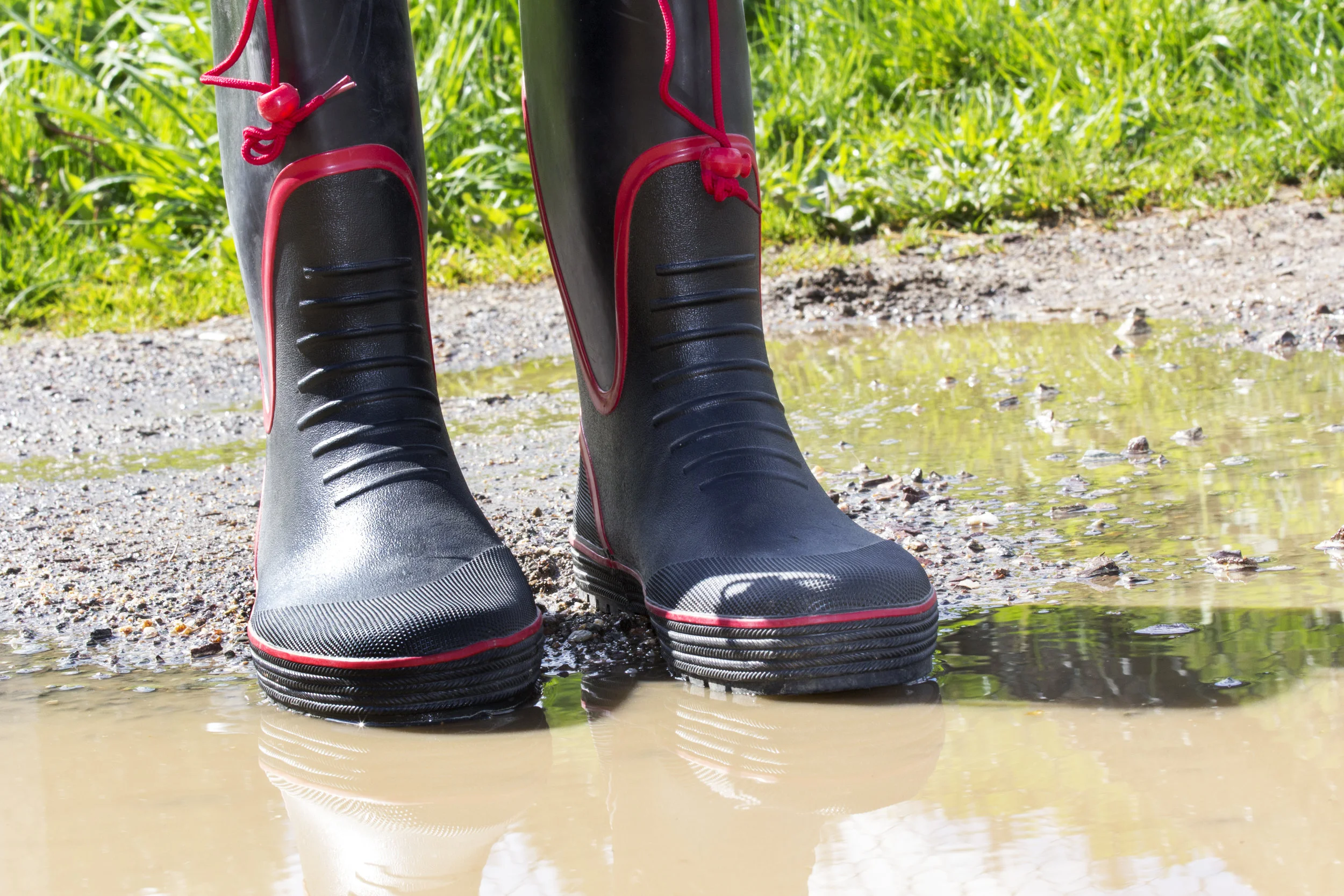 Common Septic Tank Repair Situations You’ll Need a Professional to Handle in the Pleasantville, NY, Area