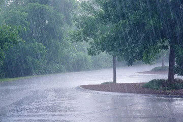 How to Find a Reputable Storm Water Management Company in Croton-on-Hudson, NY