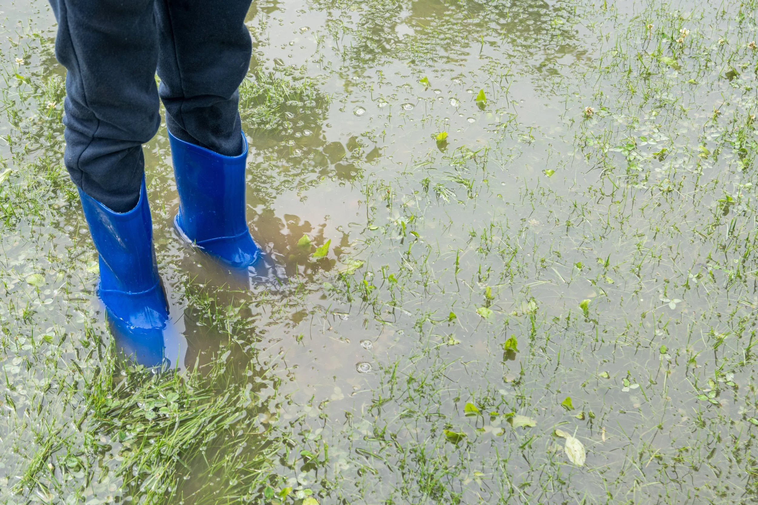 How Stormwater Management Company Services Can Benefit Your Ardsley, NY Home