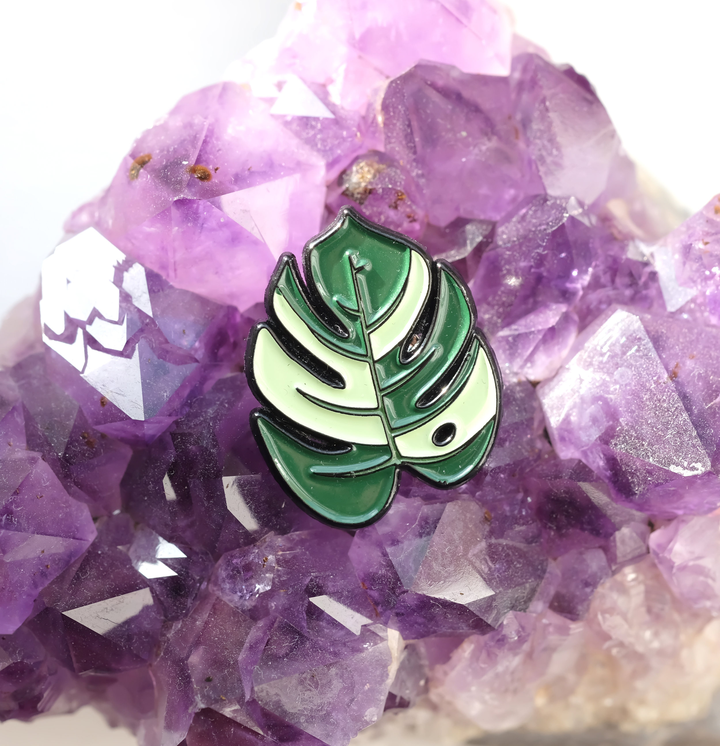 cheees_plant_pin_01.jpg