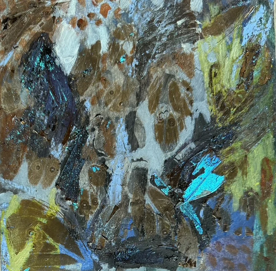 Butterfly 5