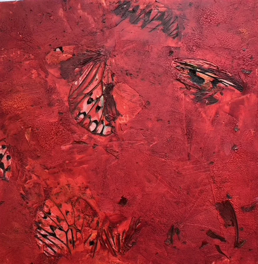Butterfly 6