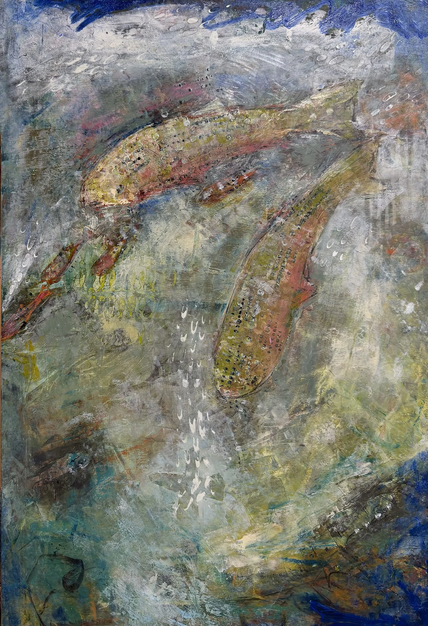 FreshCatch1.jpg