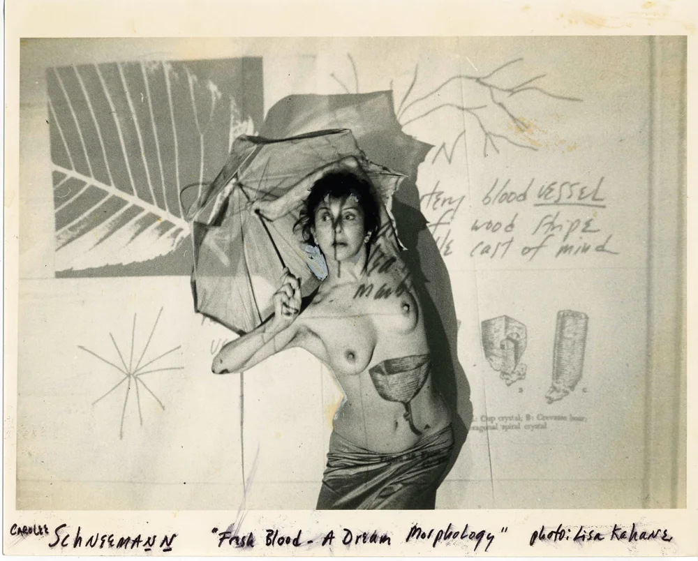 Fresh Blood: A Dream Morphology, 1983