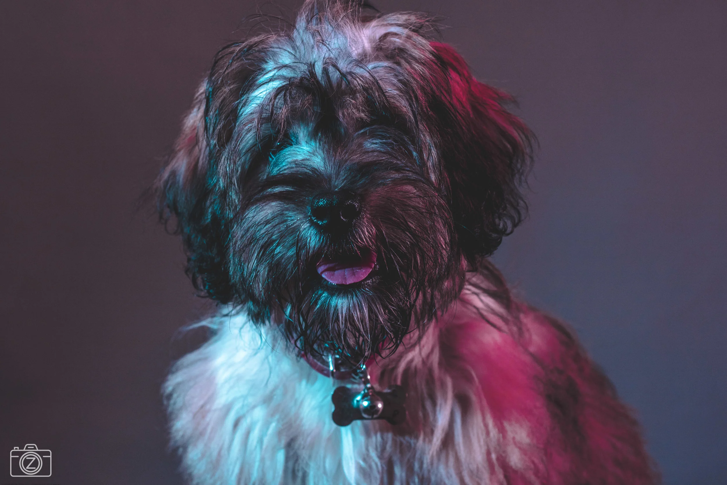 Mocha-4.jpg
