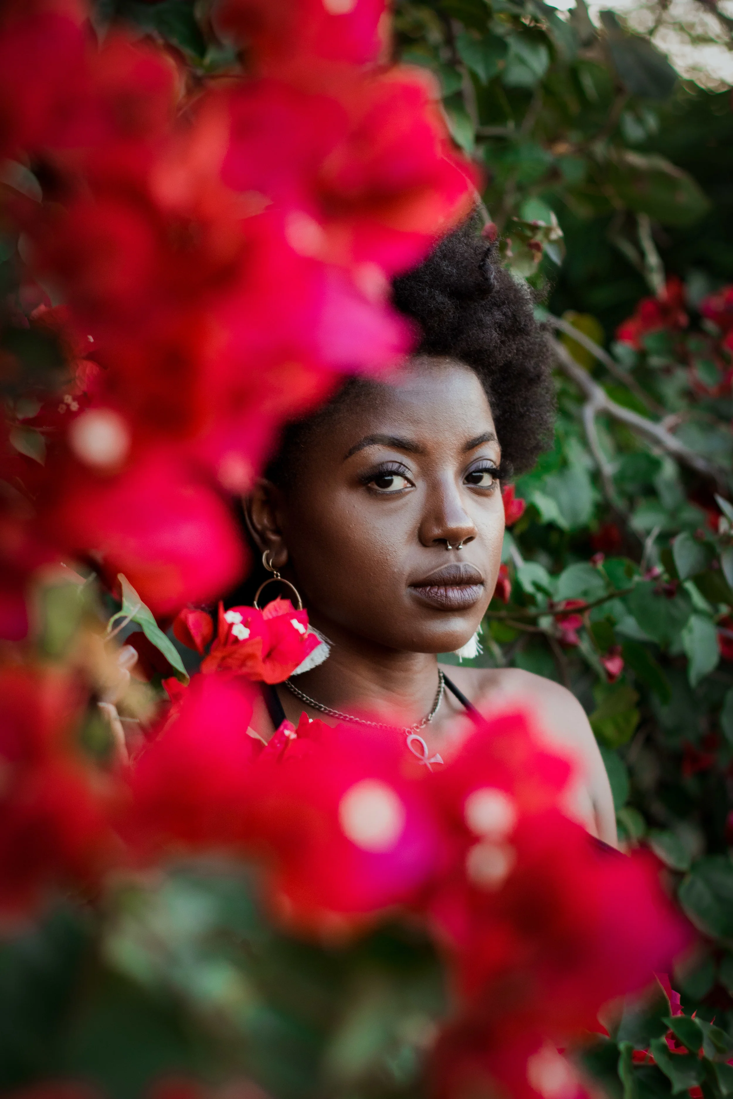 untitled shoot-8372.jpg