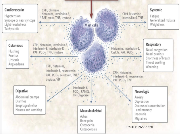 A diagram showing the causes of mcas and the symptoms of mcas