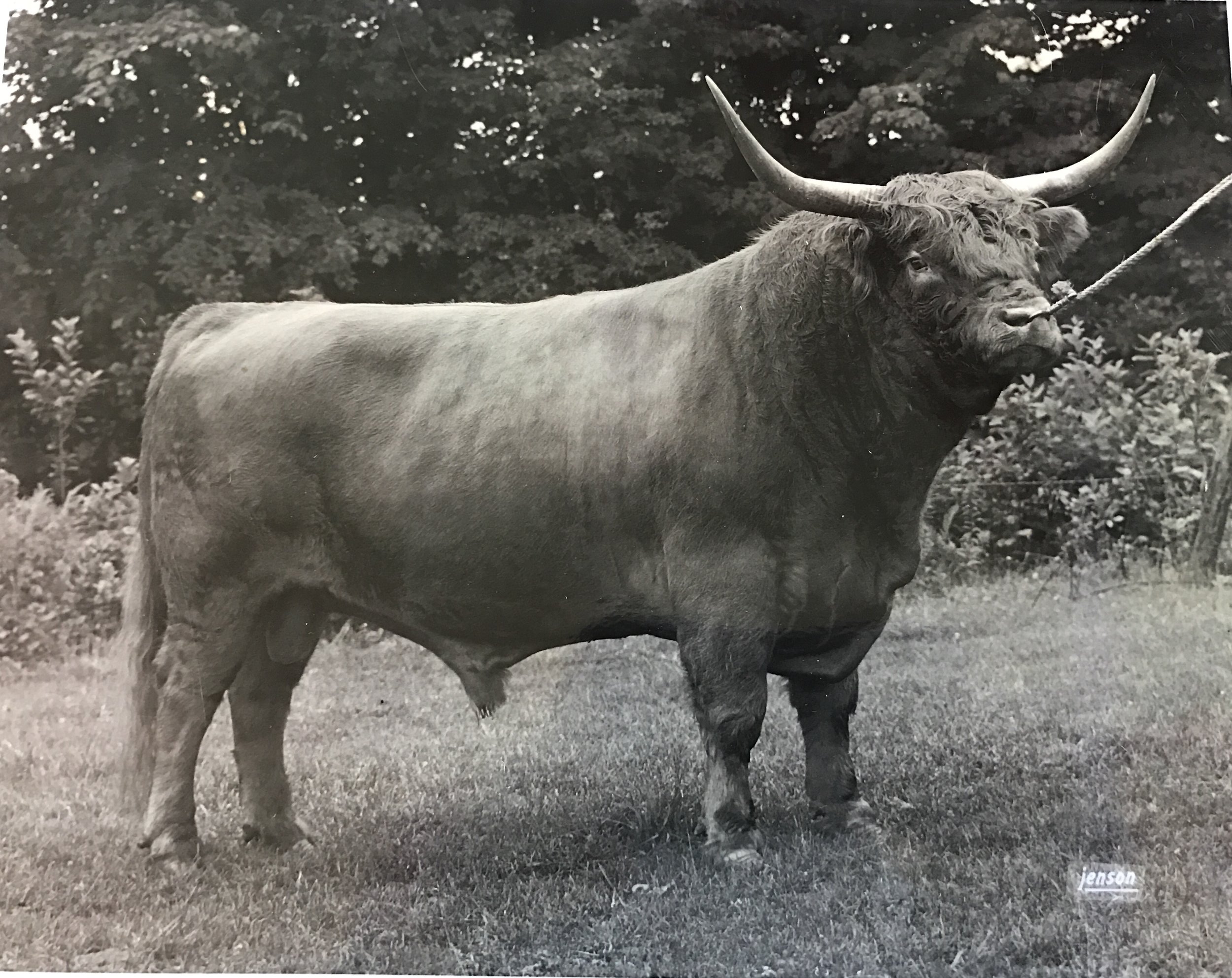 Historicalphoto9.jpeg