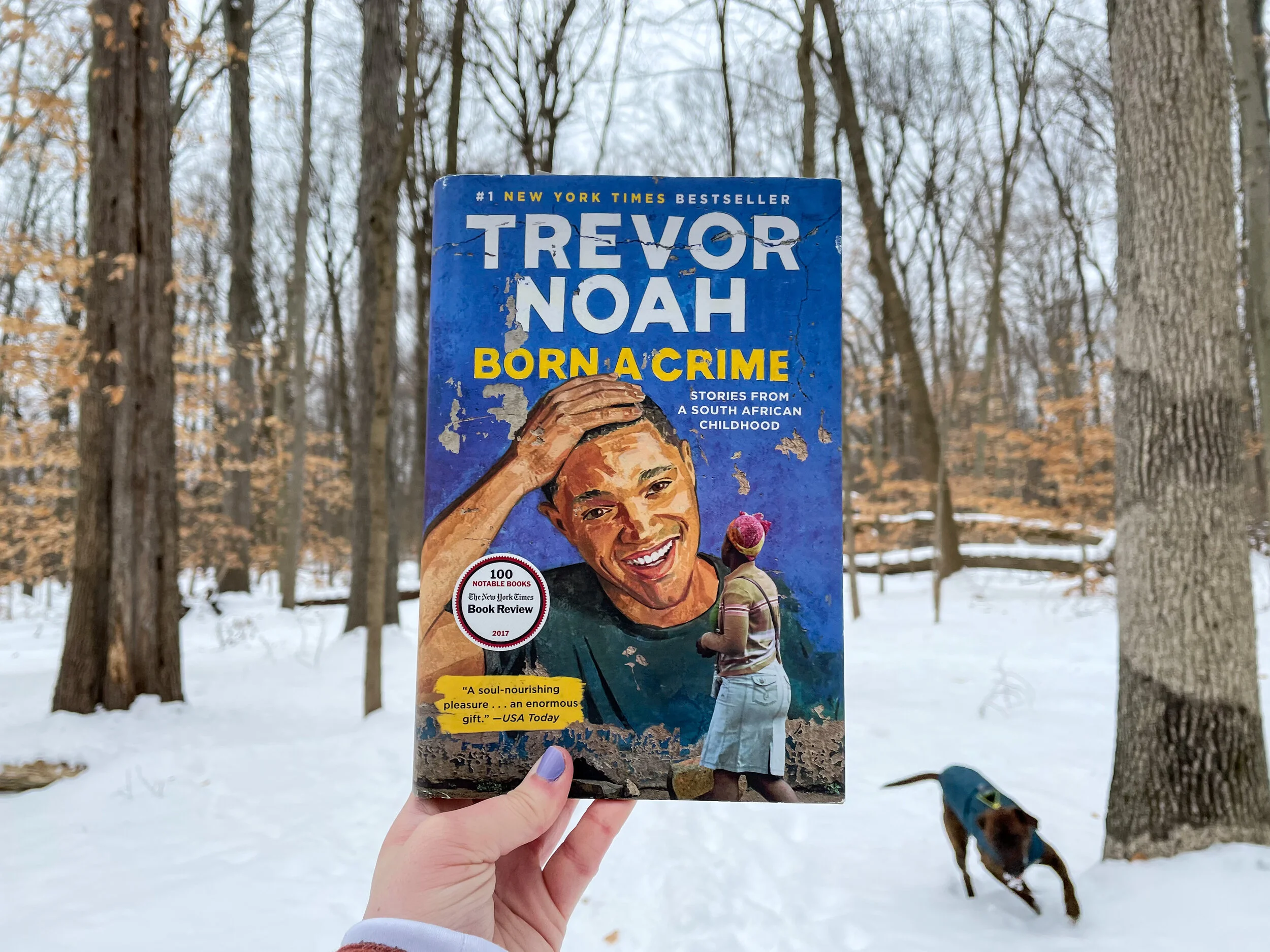 February Reading Wrap-Up