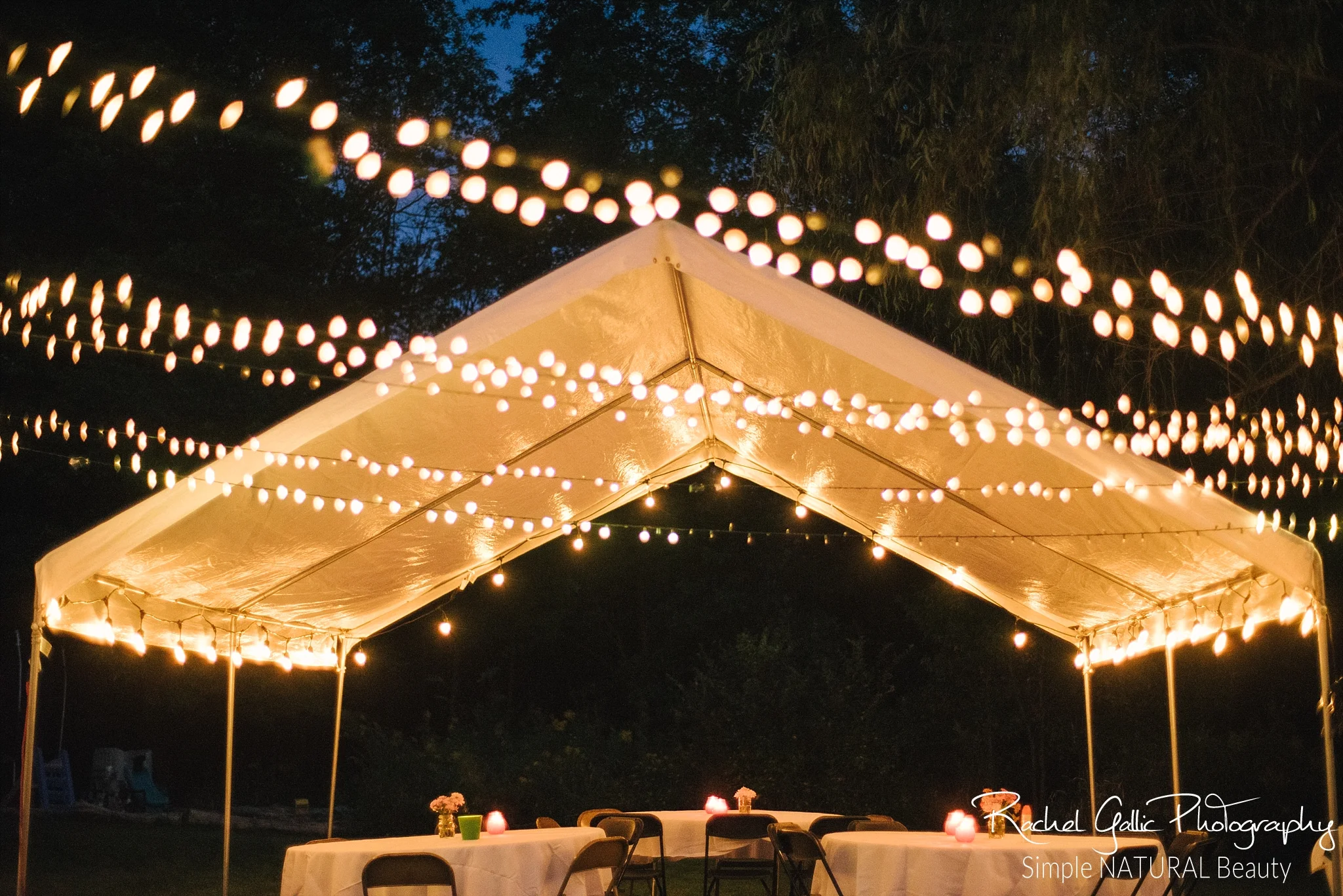 Joy's Backyard Birthday Party -Private Home-  Warren, NJ 