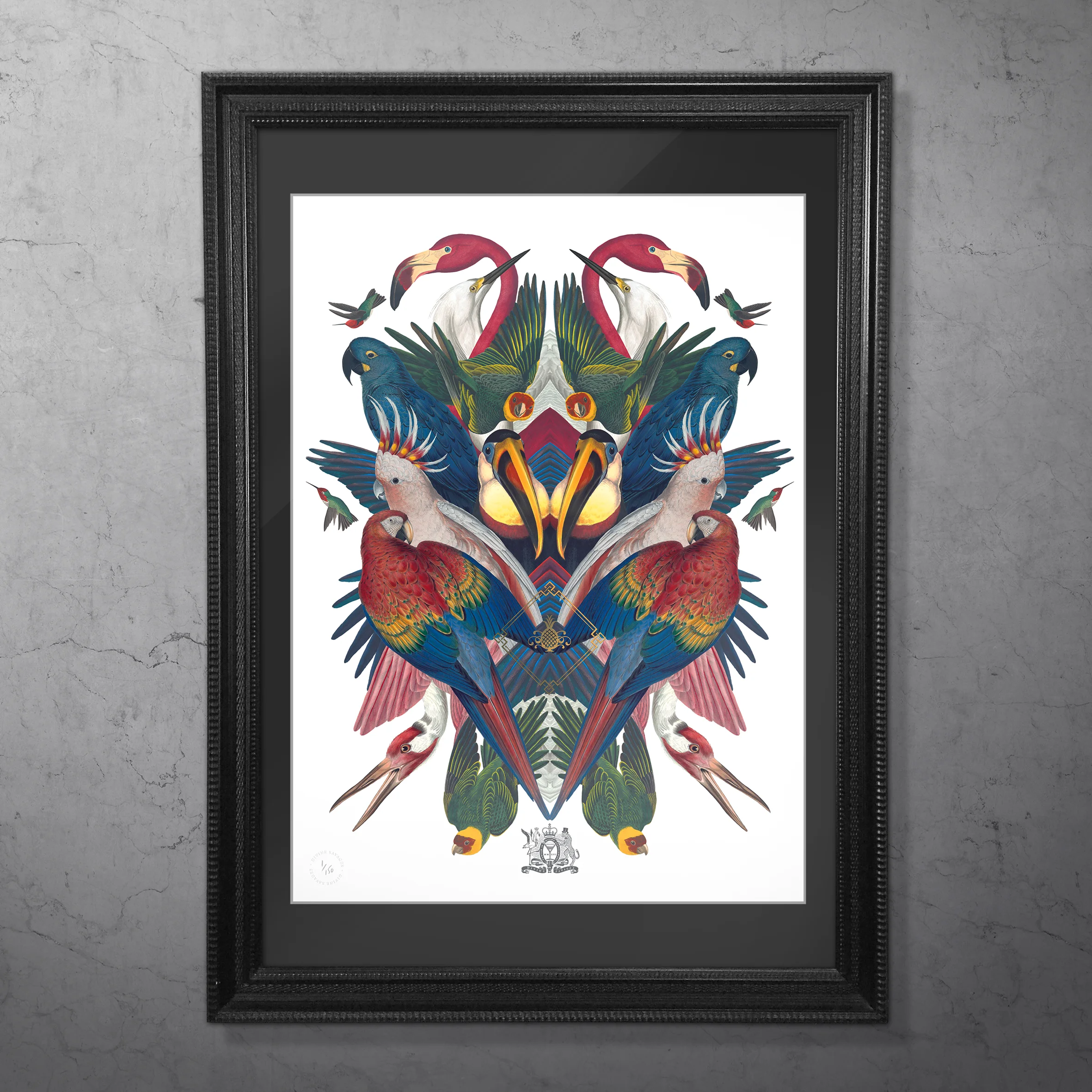 DIVINE BIRDS FRAMED.jpg