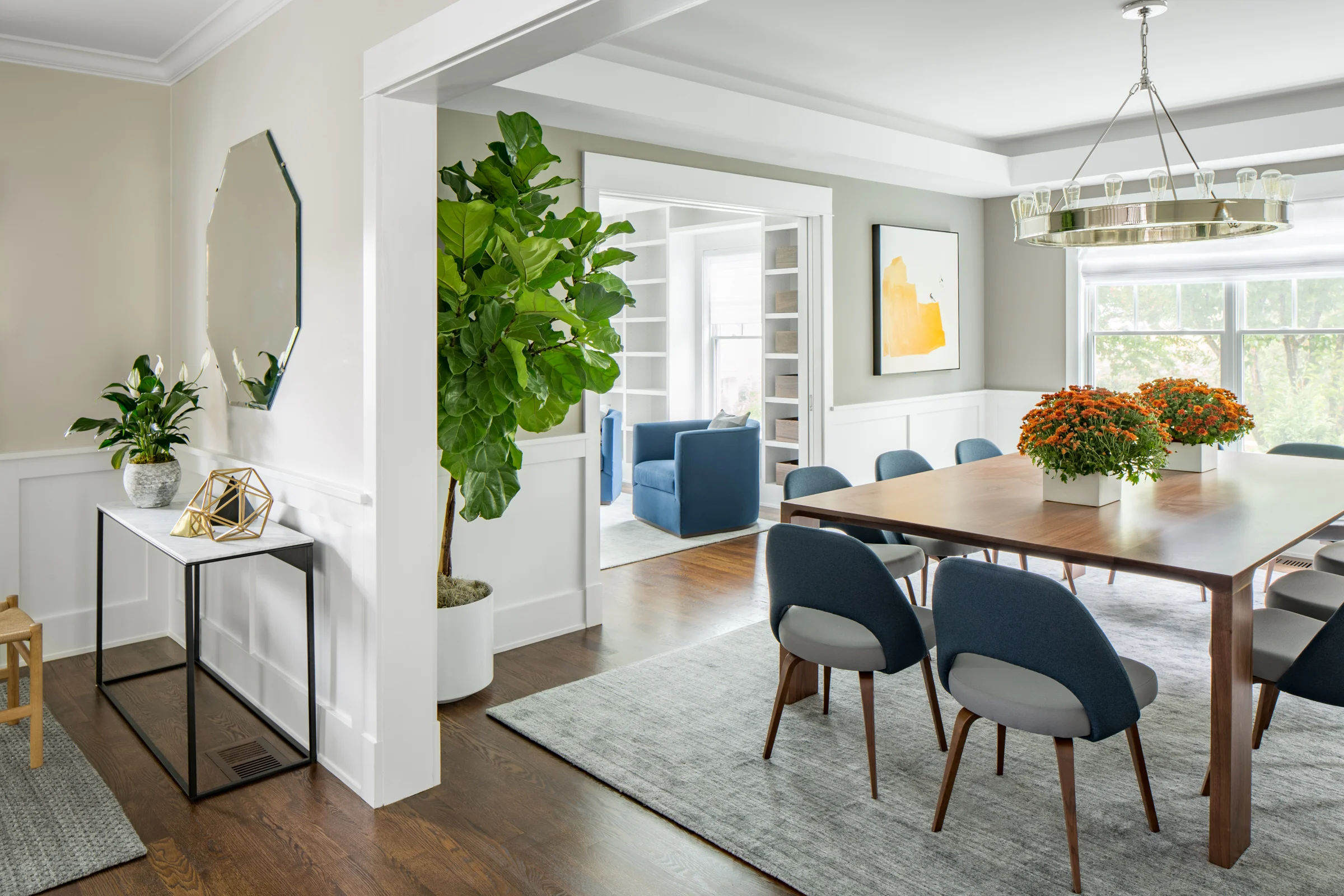 Décor-Aid-Interior Designer-Plant-Care-Tips.jpg