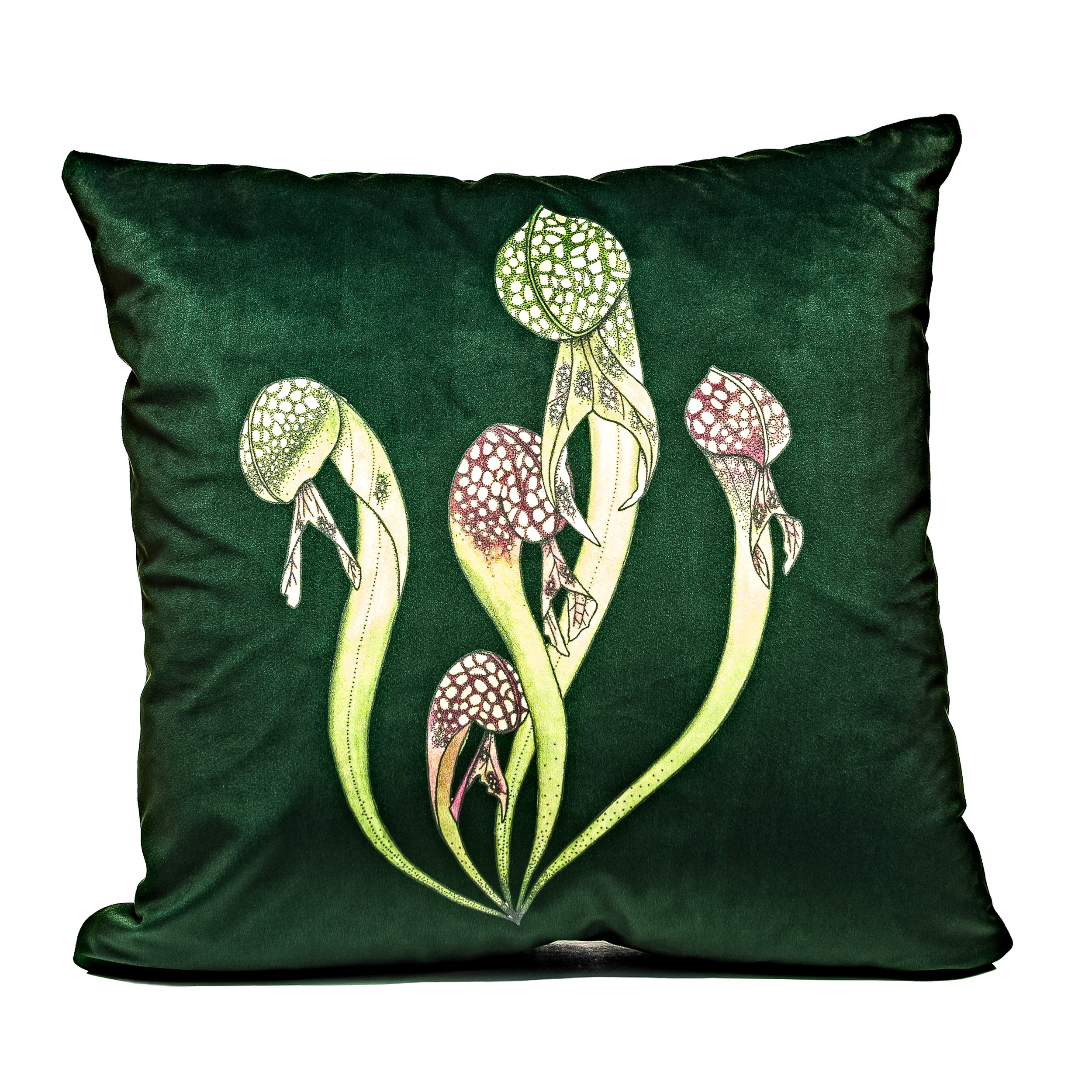 carnivorous-plant-velvet-cushion.jpg