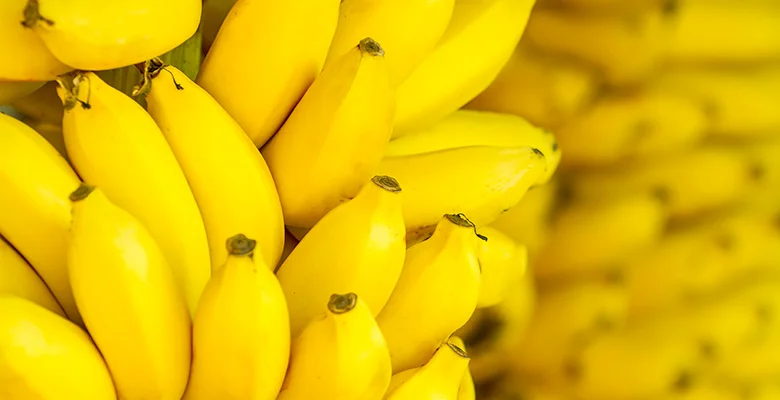 yellow.jpg