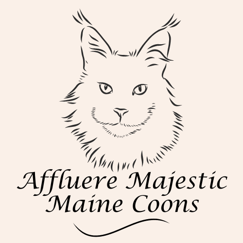 Affluere Majestic Maine Coons Logo (2).png