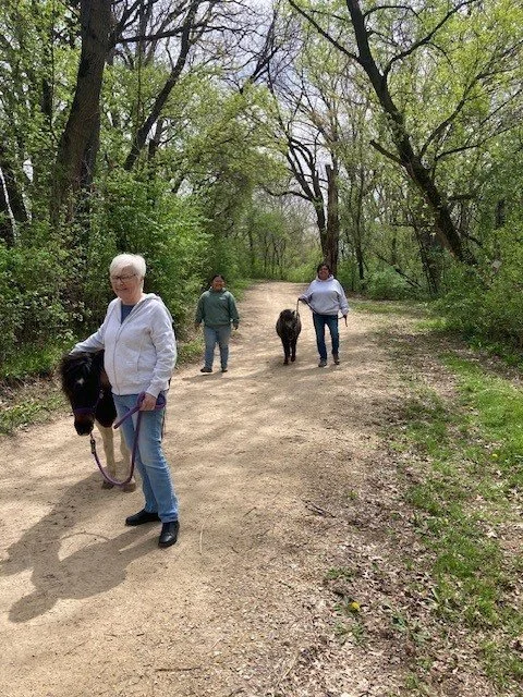 Pony Wellness Walks 1.jpg