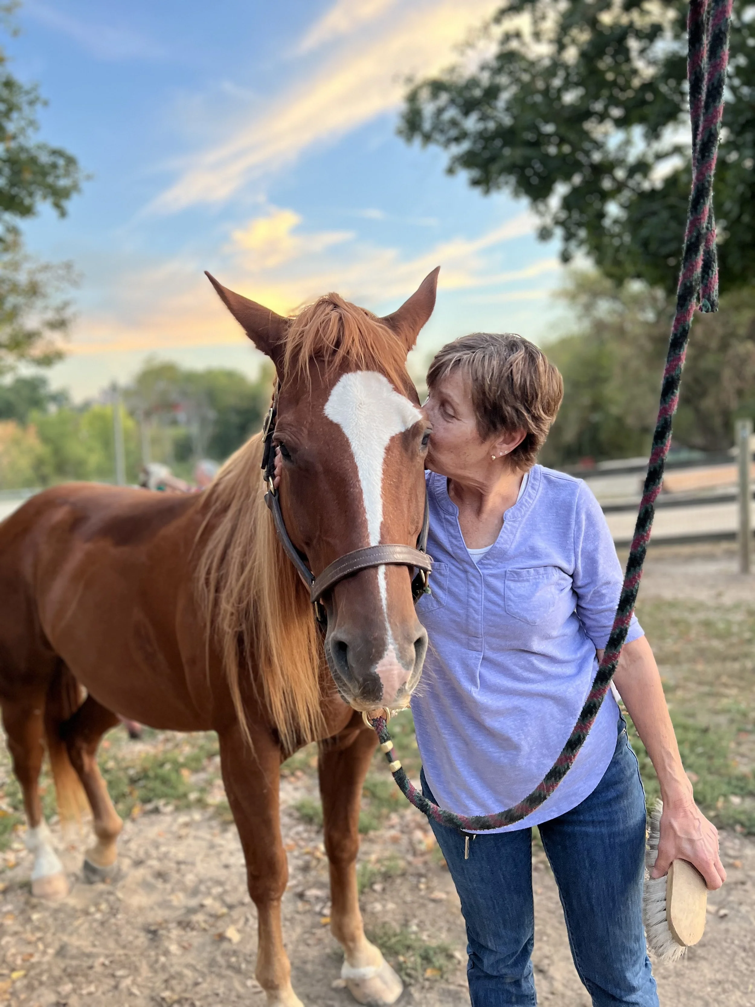 Pony Wellness Walks 3.jpg
