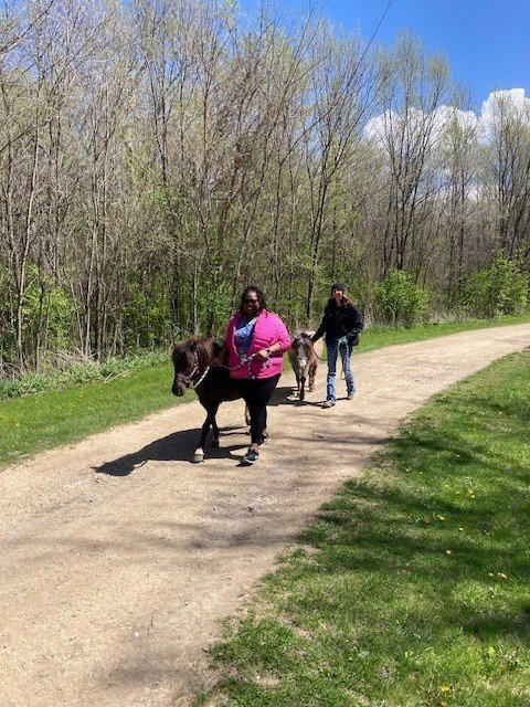 Pony Wellness Walks 2.jpg