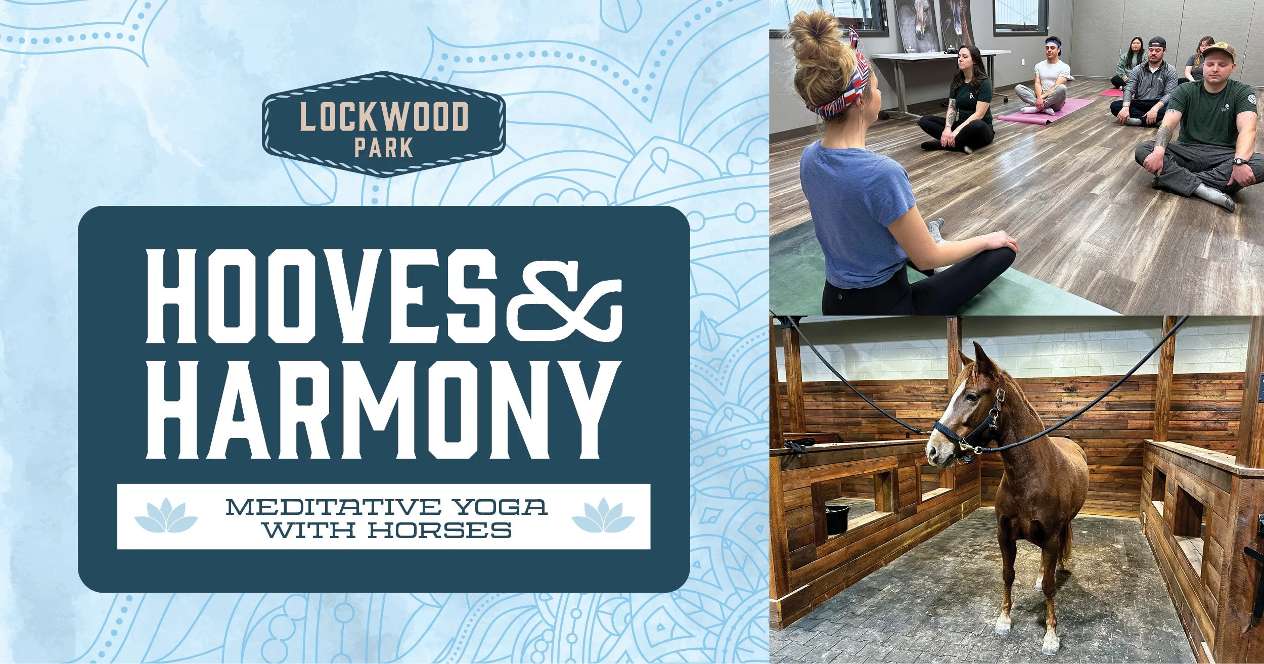 Hooves and Harmony: Yoga with Horses at Lockwood Park