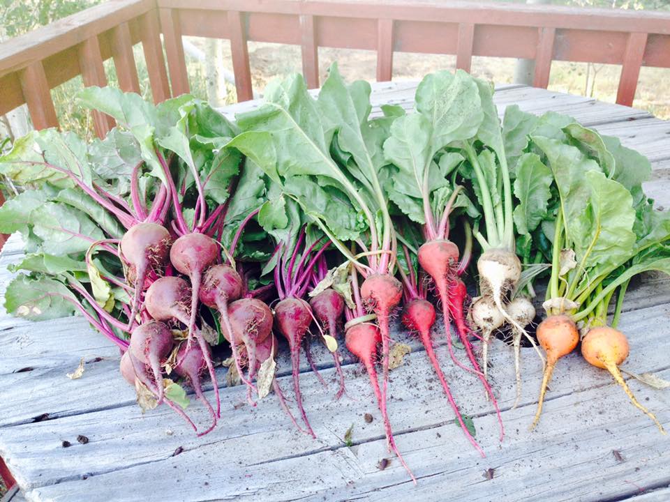 beets.jpg