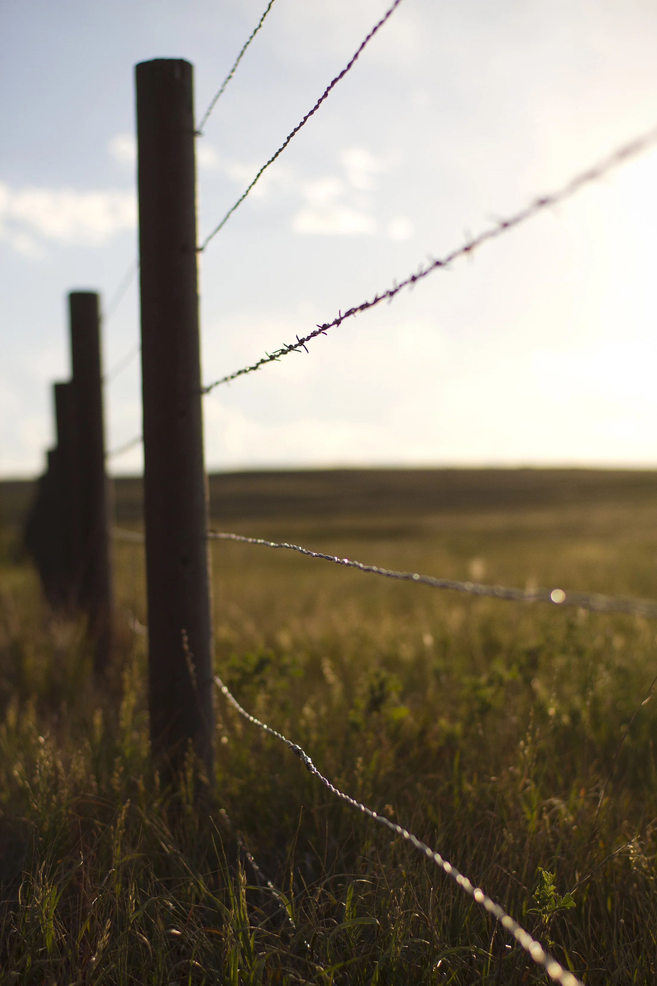 Farm-72.jpg