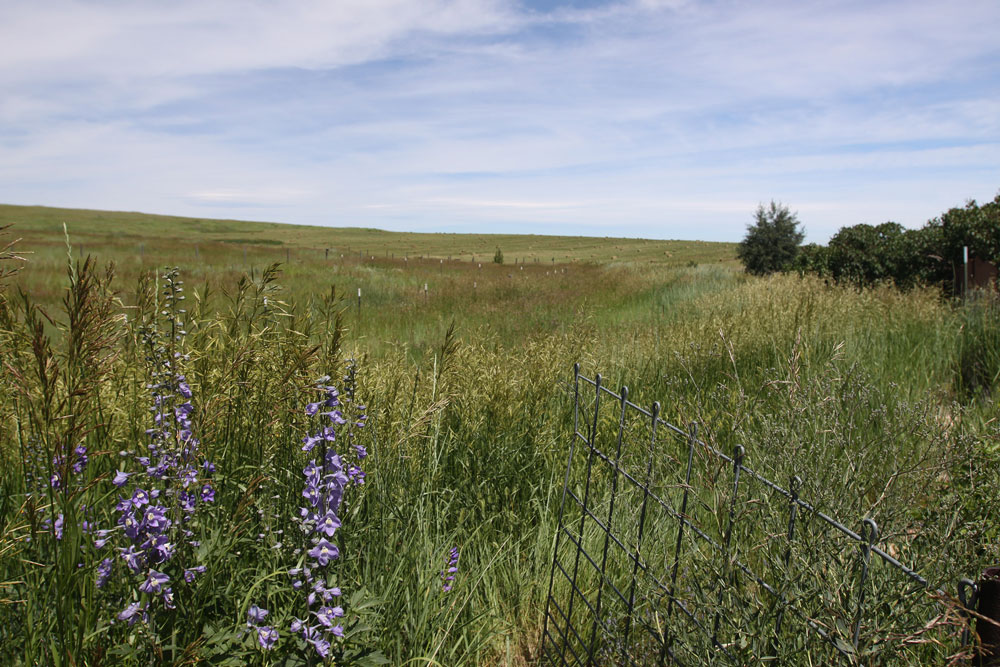 ranch-gallery-size.jpg