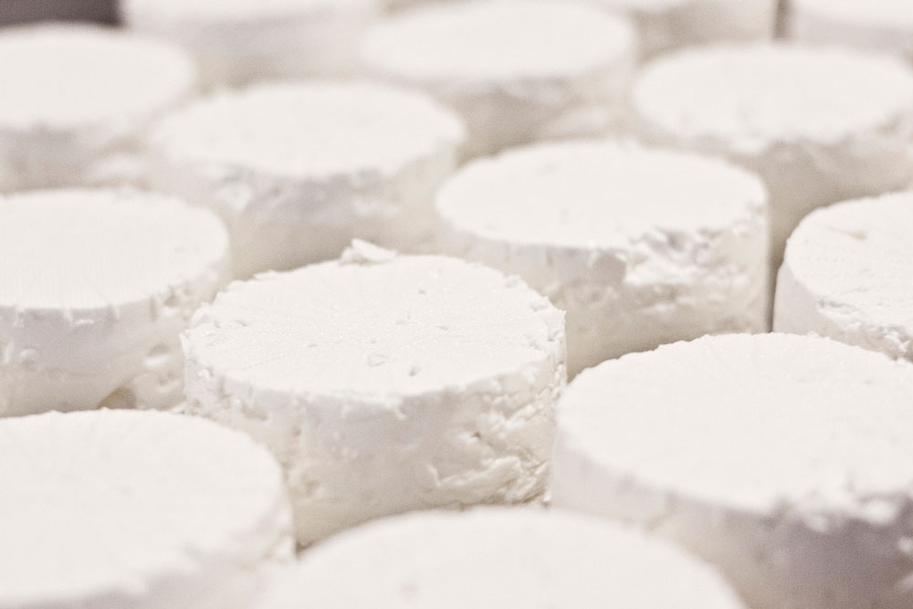 ricotta-gallery-size.jpg