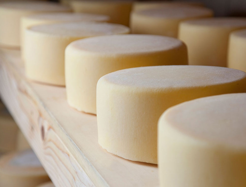 Cheese